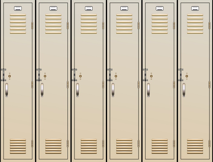 montaj_usi_cabinete_metalice